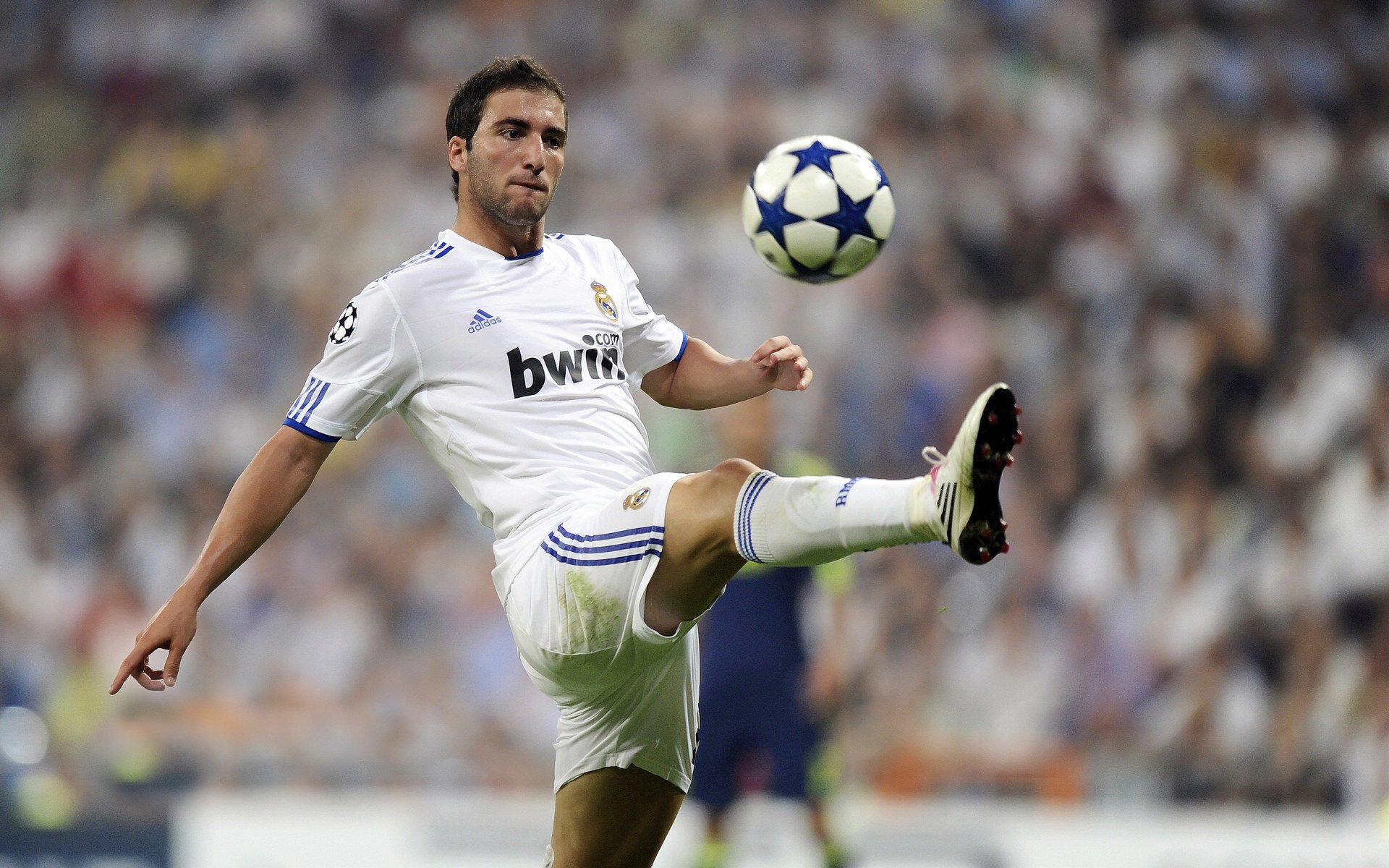 中国足球青训教练员战术素养持续提升，中国足球青训教父